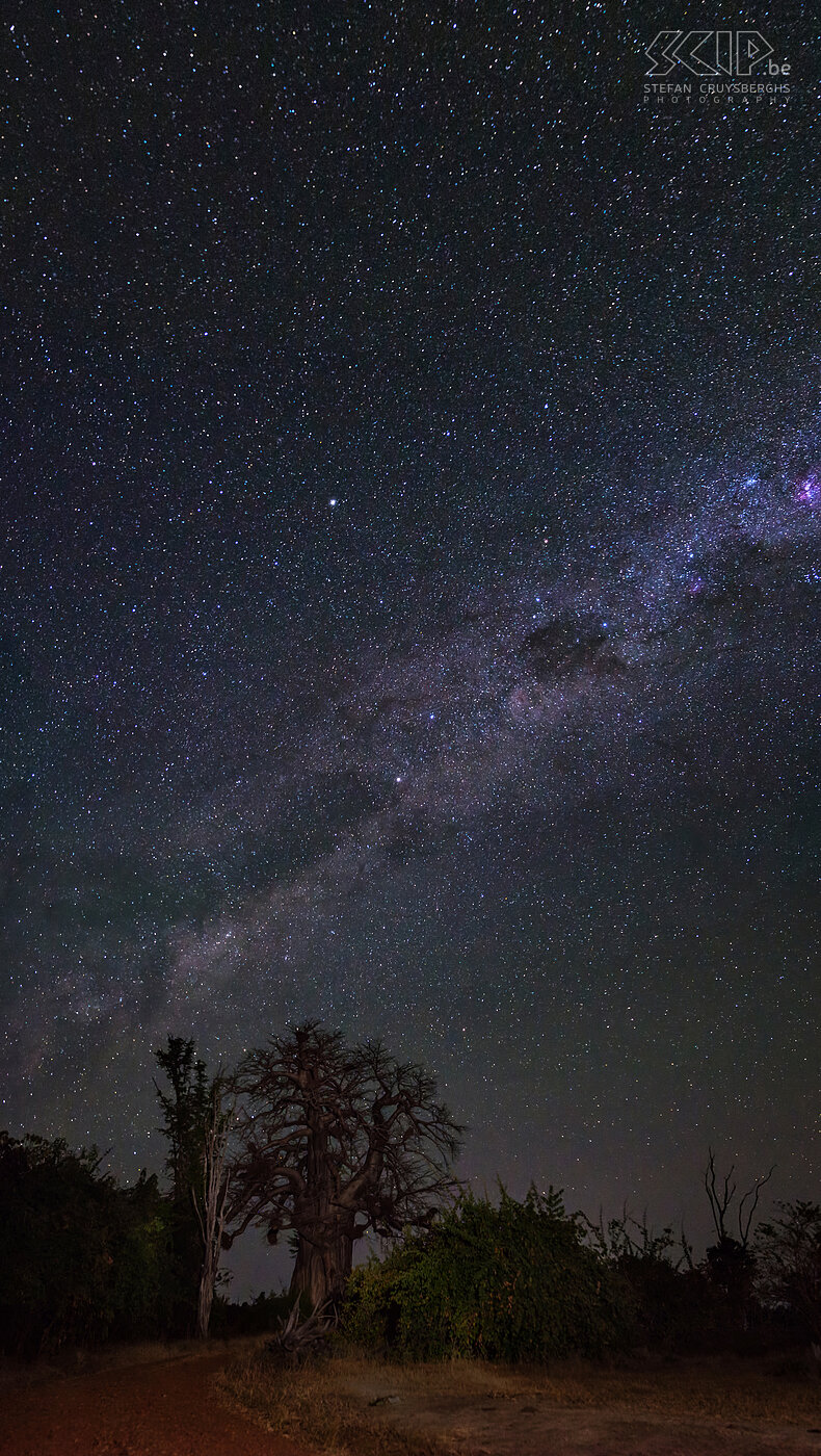 South Luangwa - Grote baobab met de melkweg Dit is een panorama nacht foto van de Melkweg en de 'grote baobab’ in het Mfuwe gebied. Deze boom is waarschijnlijk 1000 jaar oud. Stefan Cruysberghs